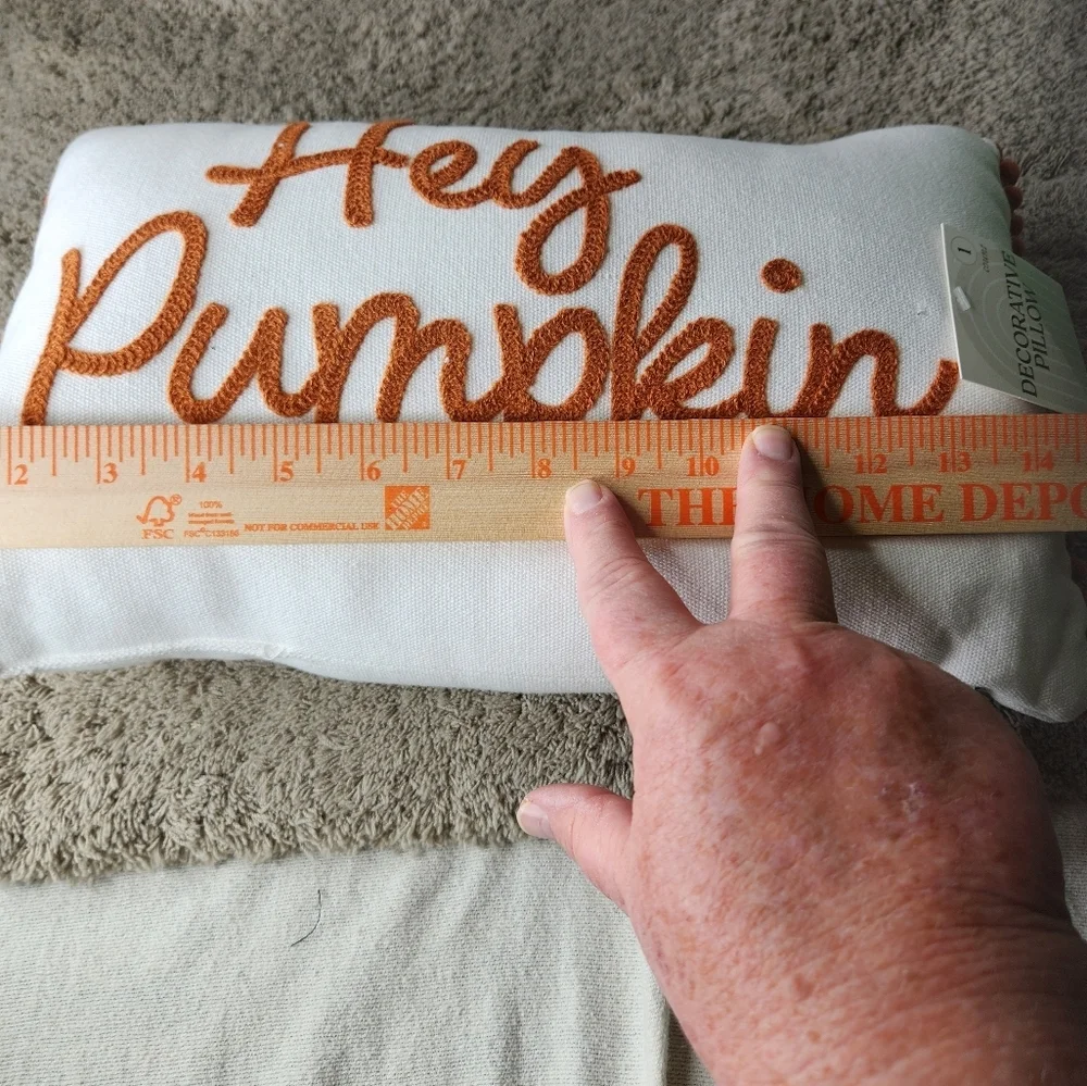 2 Fall Decorative Pillows (1 Pumpkin Pillow & 1 Orange Squares Pillow)